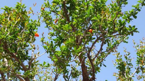 Villa Christina