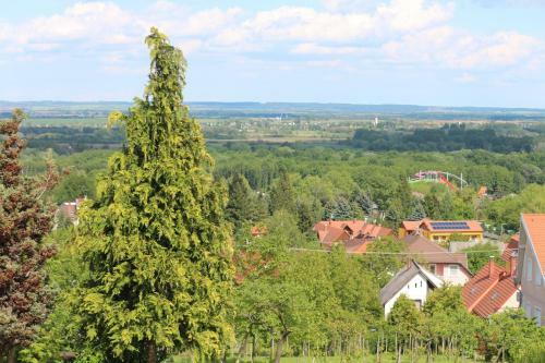 Apartamentos Villa Panor�ma