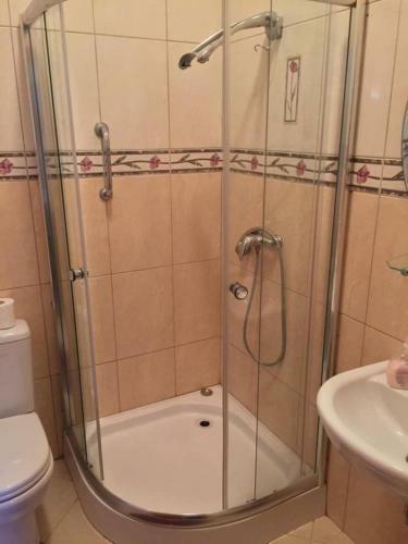 Hostal Arany Elef�nt Panzi�