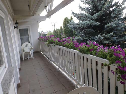 Hostal H�v�zi Fecskef�szek