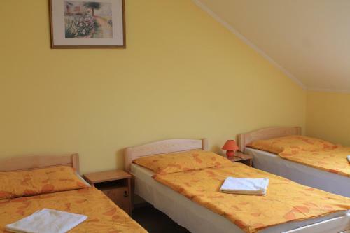 Bed & Breakfast Kir�ly Panzi�