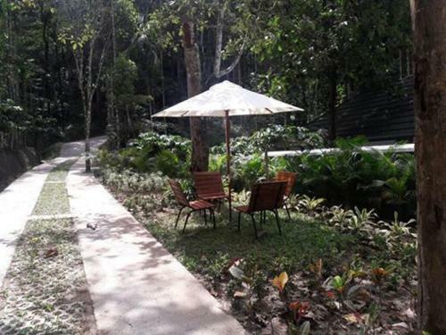 Hotel Wayanad Coffee Trail