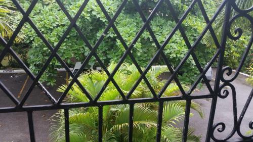 Apartamento Court Manor