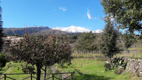 Alberto's Mt.etna B&B