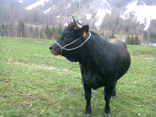 Agroturismo La Ferme Du Grand Paradis