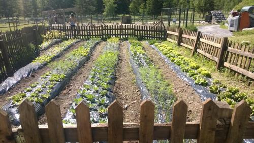 Agroturismo La Ferme Du Grand Paradis
