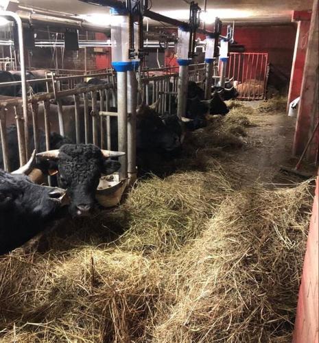 Agroturismo La Ferme Du Grand Paradis