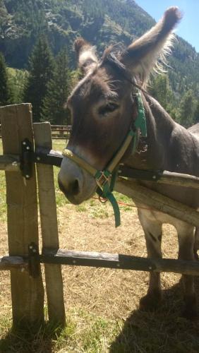 Agroturismo La Ferme Du Grand Paradis
