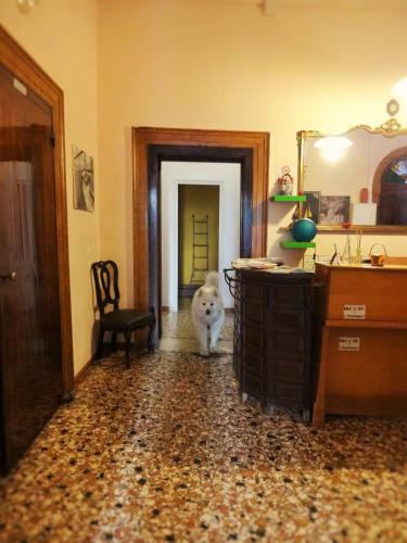 Albergue Youth Venice Palace