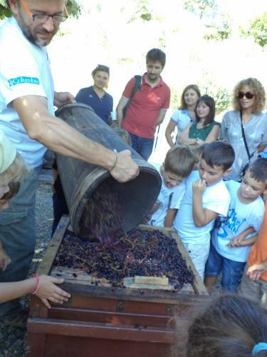 Agroturismo Fattoria Di Castiglionchio