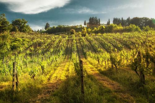 Agroturismo Fattoria Di Pancole