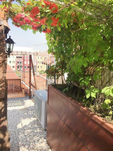 Apartamento Domus Venetiae