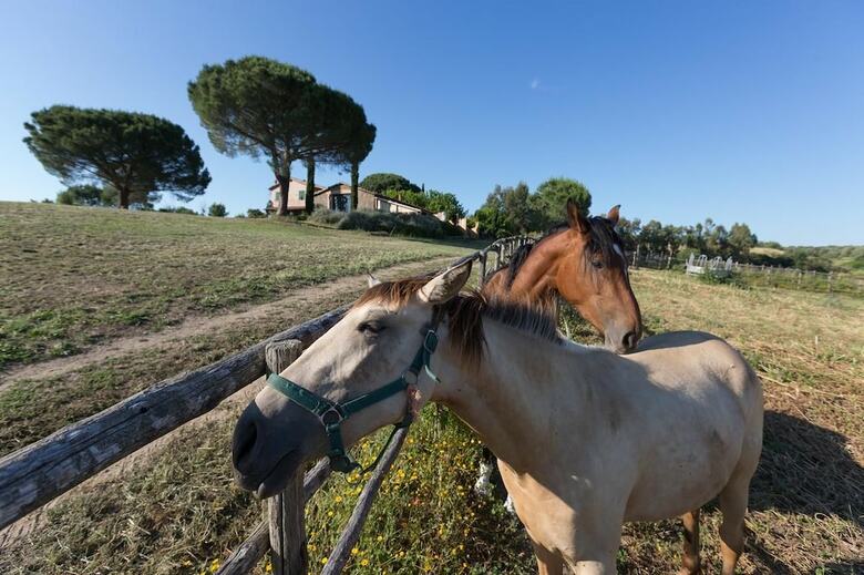 Agroturismo Agriturismo Casa Caponetti