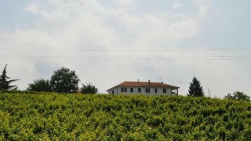Agroturismo Agriturismo Ai Piacentini