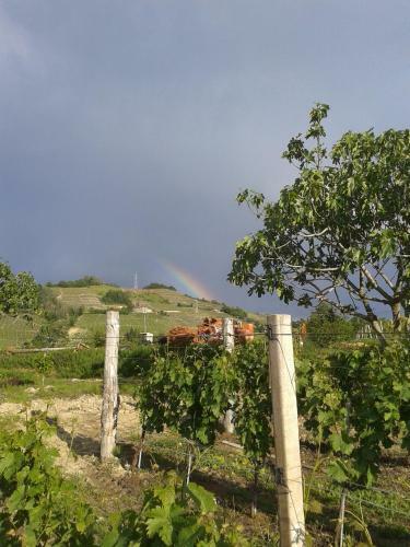 Agroturismo Agriturismo Ai Piacentini