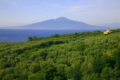 Apartamento Villa Rosmary