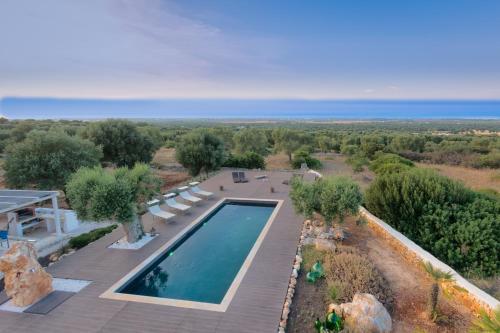 Villa Butterfly