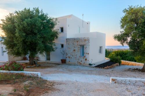 Villa Butterfly