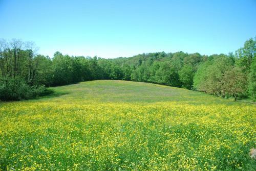 Agroturismo Bed & Breakfast Cascina Cin Cin