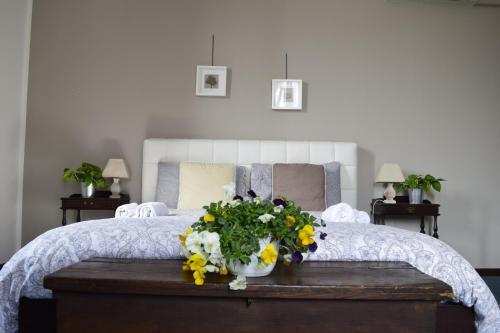 Bed & Breakfast A Casa Di Ale