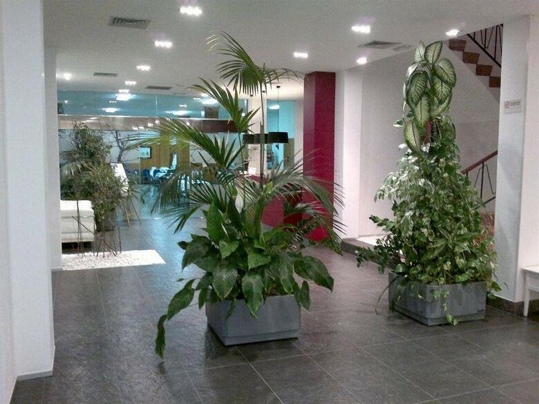 Hotel Roca