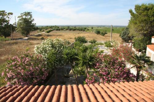 Villa La Casa Di Dario