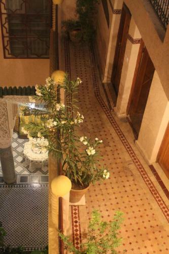 Riad Les Chrifis