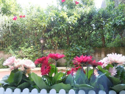 B&B Certe Notti