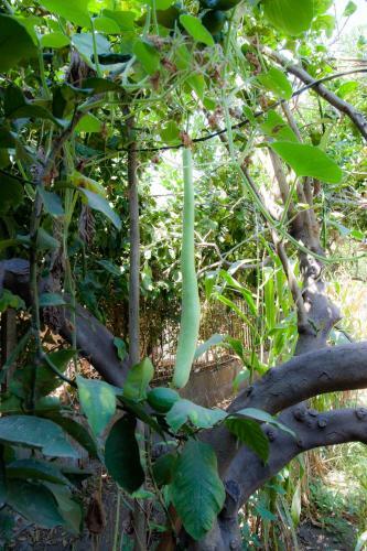 B&B Certe Notti