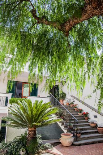 B&B Certe Notti