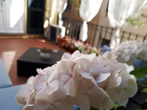 Bed & Breakfast Le Terrazze