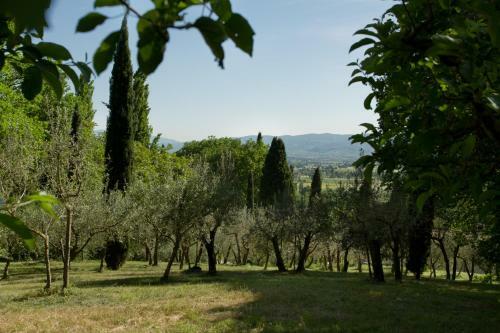 Apartamento Villa Degli Ulivi