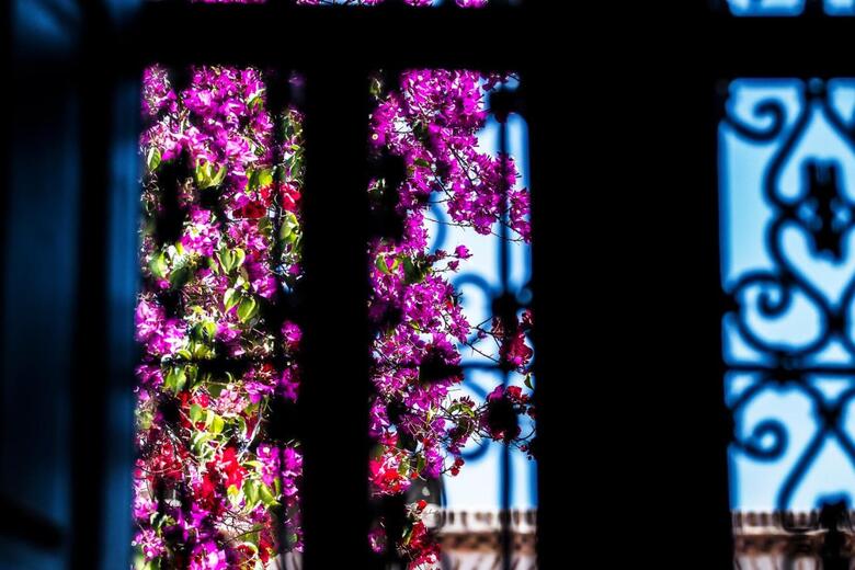 Riad Cl�mentine