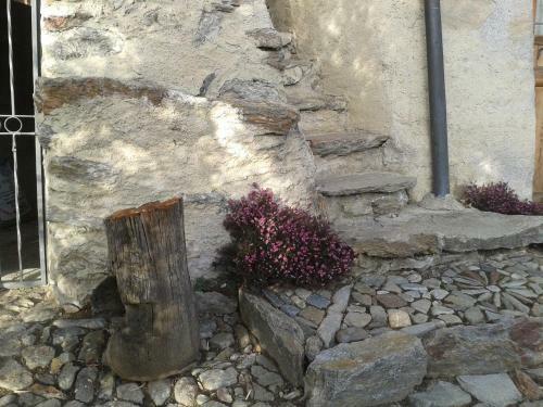 Agroturismo Casa Vacanze Roncaiola