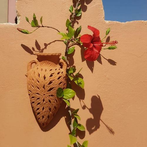 Bed & Breakfast Chambres D'h�tes Les Amis