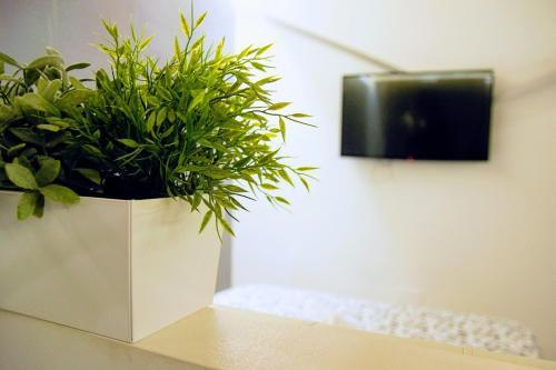Apartamento Yhome | Royal Suite Vittorio