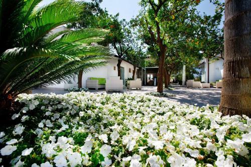 Aparthotel Esperidi Resort Village