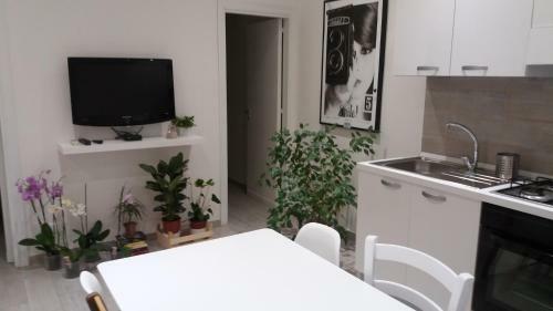 Apartamento Appartamento N�24