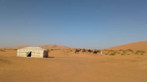 Night Desert Camp