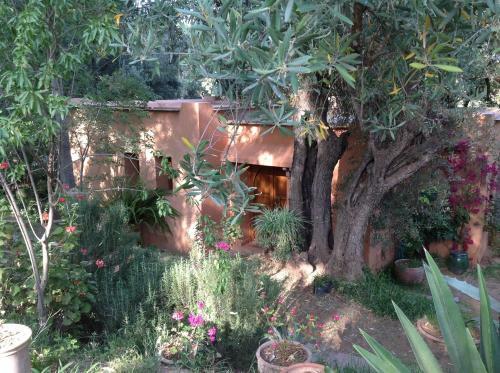 Maroc Lodge