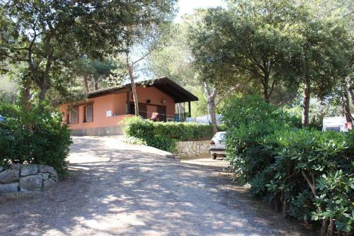 Camping Lacona Pineta