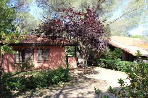 Camping Lacona Pineta
