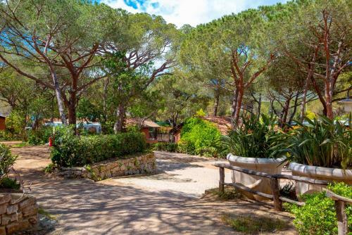 Camping Lacona Pineta