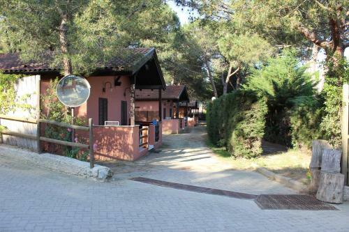 Camping Lacona Pineta