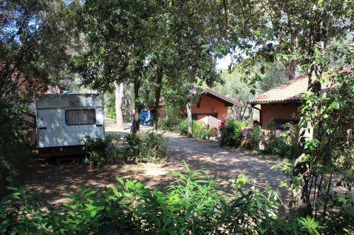 Camping Lacona Pineta