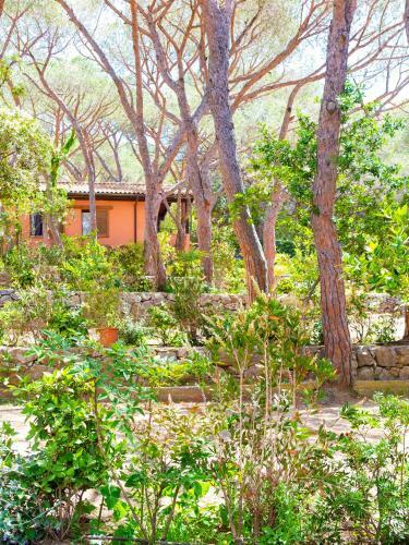 Camping Lacona Pineta