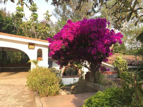 Hotel Villas Bellavista