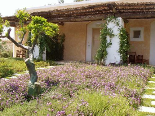 Hotel Masseria L'antico Frantoio