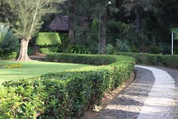 Hostal Quinta Los Pinos