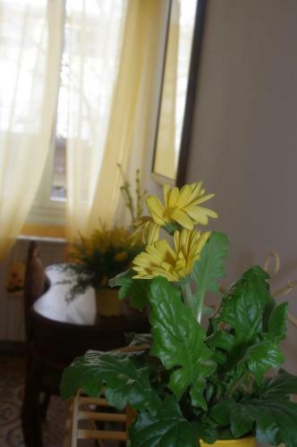 Bed & Breakfast I Colori Di Mag